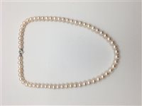 Collana Soma Gioielli Donna Collana Perla E Diamanti in Perle Diamante 0.04 Ct SON COL PERLE/OB/BR - SON COL PERLE/OB/BR